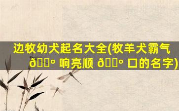 边牧幼犬起名大全(牧羊犬霸气 🐺 响亮顺 🌺 口的名字)
